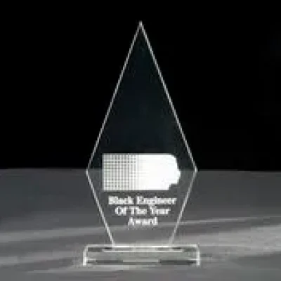 2011 Miami Chamber Technology Leader of the Year